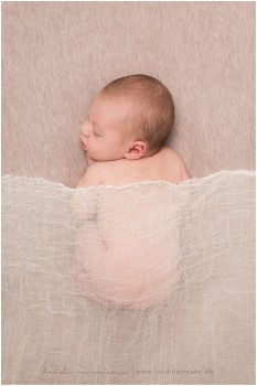 newborn photography denmark nyfødt næstved heidi normann.jpg